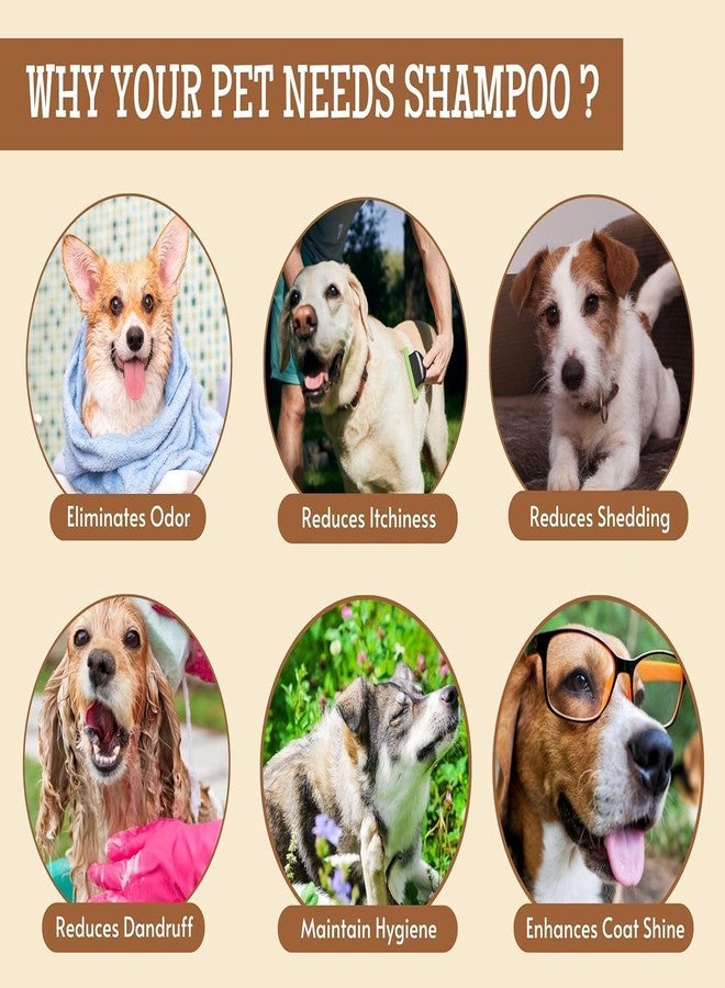 KittuPet كيتو بيت أوه ماي دوغ شامبو فاخر للحيوانات الأليفة خالٍ من البارابين للجراء والكلاب (توت وجوز الهند 500 مل) (توت وجوز الهند) - Image 5